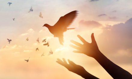 On-Chain Daten bullish – warum die DeFi-Rallye Hoffnungen macht