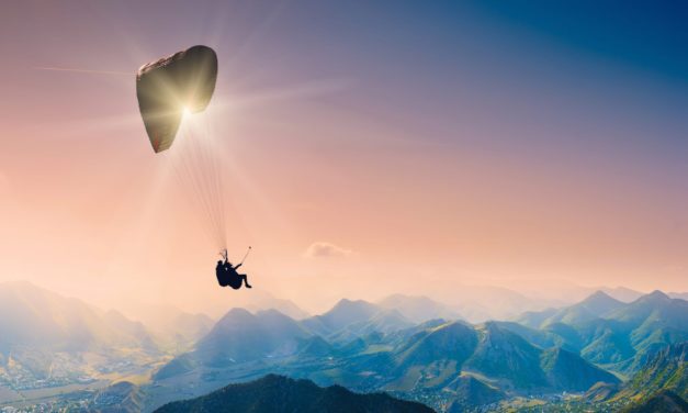 Bitcoin und Ethereum im Aufwind – Altcoin-Sektor zieht mit