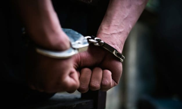 Immobilien und ein Rennpferd: Bitcoin-Betrüger zu 15 Jahren Haft verurteilt
