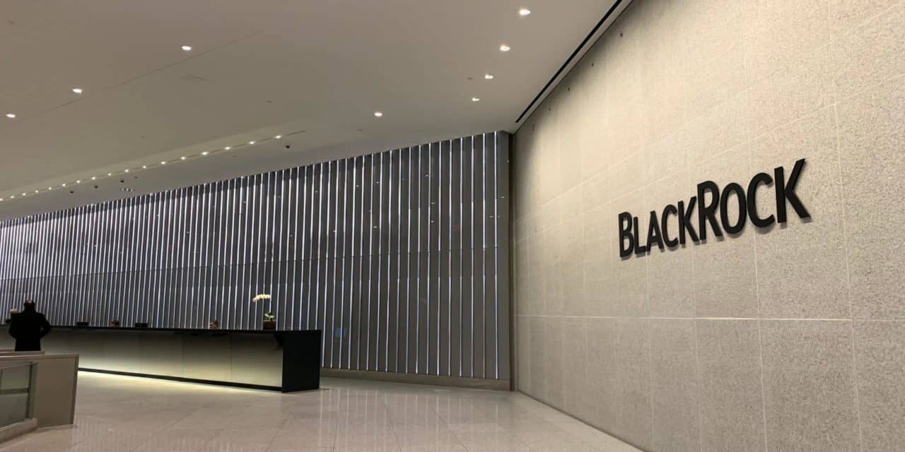 BlackRock: CEO Fink sieht nachlassendes Interesse bei Kryptowerten