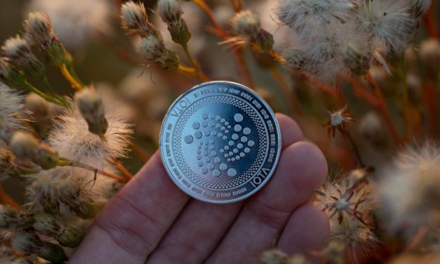 IOTA = Apple vor dem iPhone? Entwickler antwortet auf Hype-Vorwurf