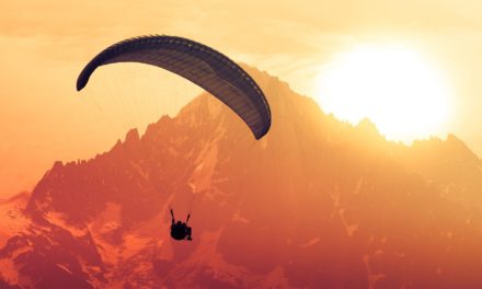 Altcoins im Aufwind: Ethereum, Cardano und AXS vor Trendwende?