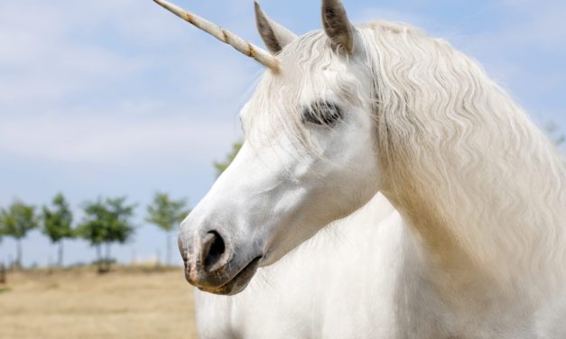 Solarisbank wird zum Unicorn und übernimmt Konkurrenten