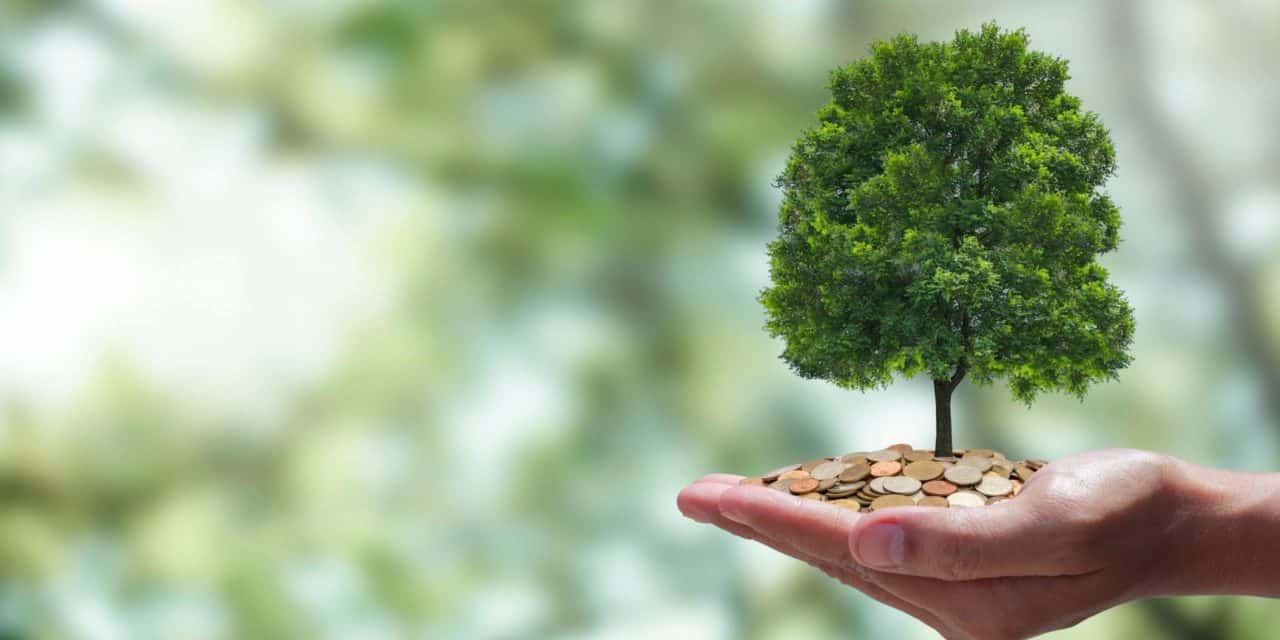 SkyBridge wiegt Bitcoin-Reserven mit CO2-Zertifikaten auf | BTC-ECHO