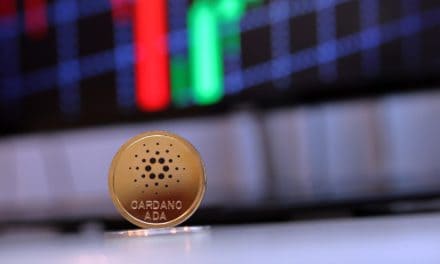 „Ich verachte Kursanalysen“ – Cardano CEO weist Crash-Szenario zurück