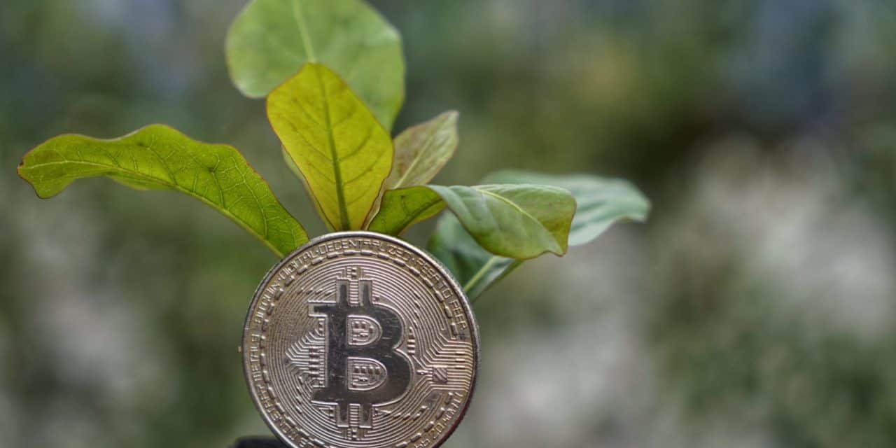 Brasilien: Der erste „grüne“ Bitcoin ETF geht an den Start