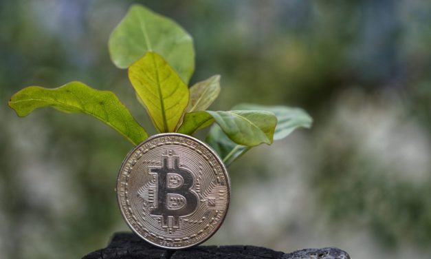Brasilien: Der erste „grüne“ Bitcoin ETF geht an den Start