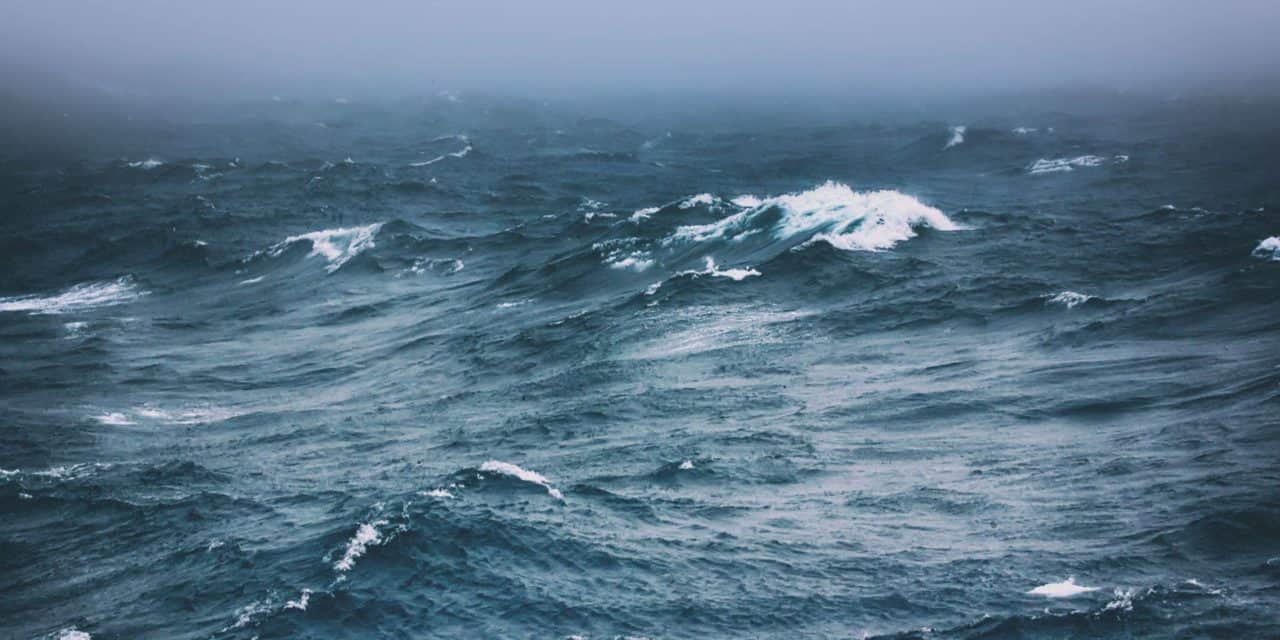 NFT-Markt dreht frei – exponentielles Wachstum bei OpenSea