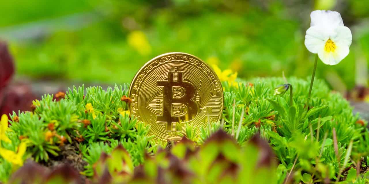 Auf der grünen Welle – Bitcoin-Mining wird nachhaltig(er)