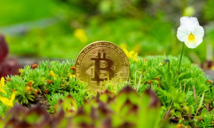 Auf der grünen Welle – Bitcoin-Mining wird nachhaltig(er)