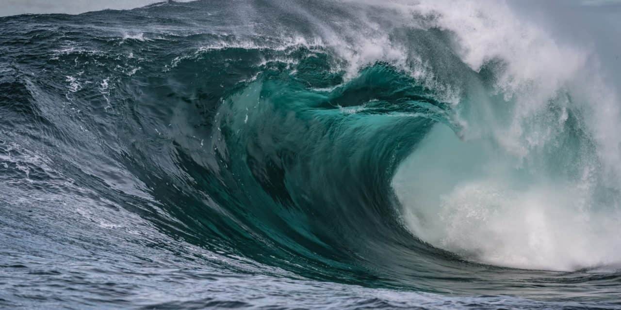 Zahlungsdienstleister Visa wagt den Schritt in den NFT-Space