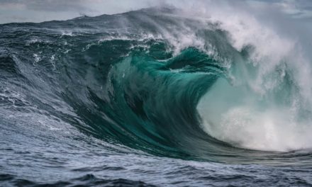 Zahlungsdienstleister Visa wagt den Schritt in den NFT-Space