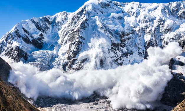 Avalanche expandiert – 180 Millionen US-Dollar für Decentralized Finance