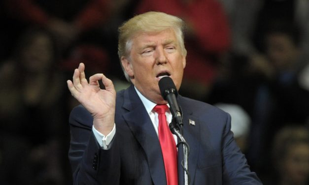 Trump: Kryptowährungen sind eventuell fake und ein potenzielles Desaster
