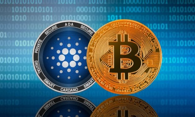 Cardano-Rekordhoch nach Testnet-Erfolg Bitcoin erreicht Schlüsselmarke
