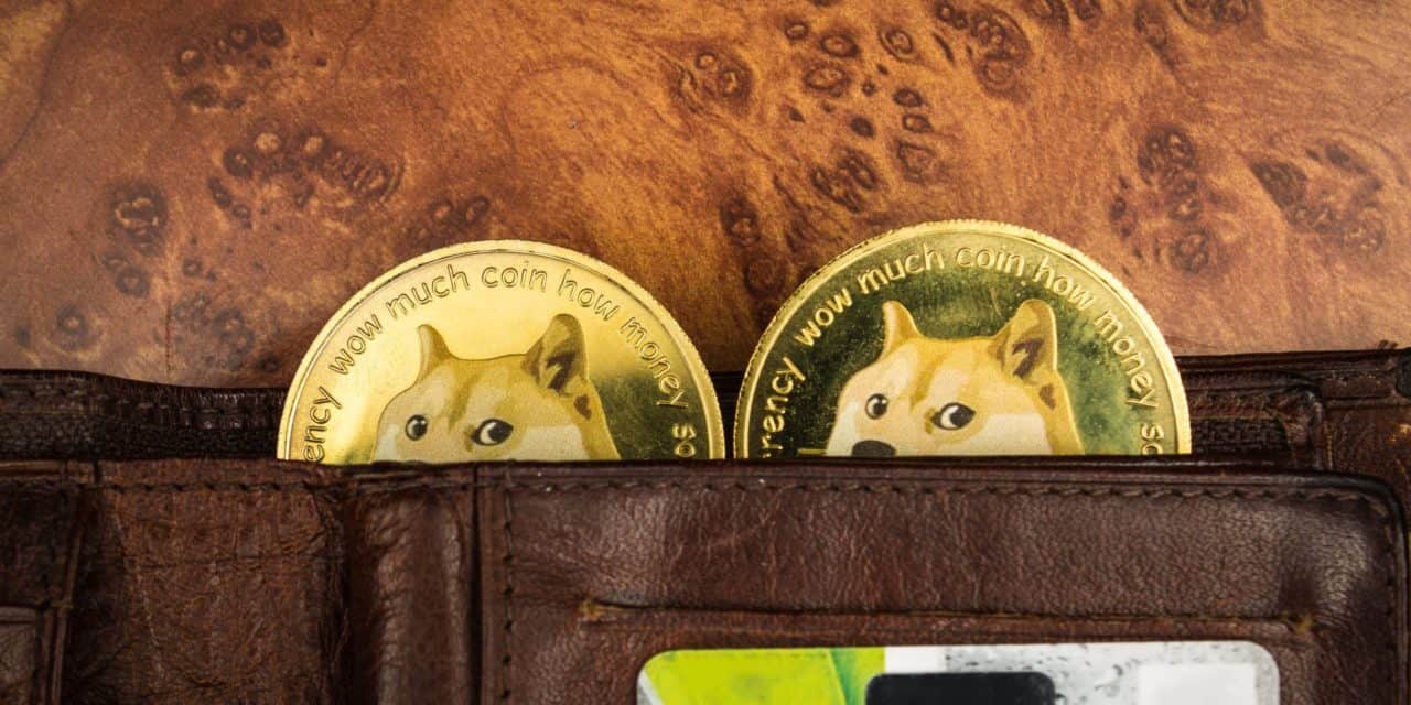 Dogecoin Foundation: „Bitte ändere deinen Namen, Dogecoin 2.0“