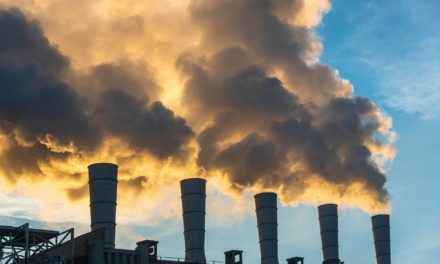 Carbonfuture: Start-up handelt mit CO2-Zertifikaten über die Blockchain