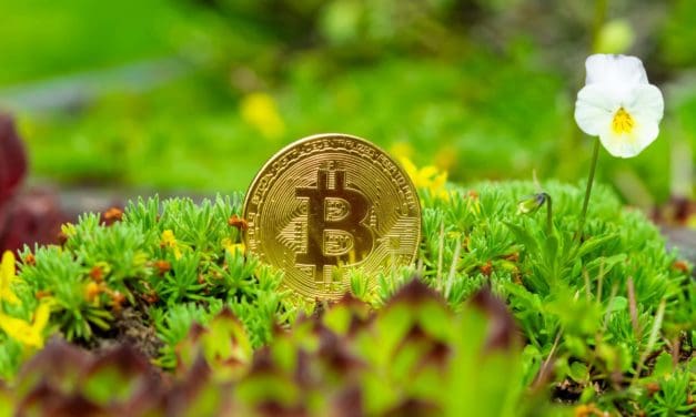 Blockstream will neuen klimaneutralen Mining-Standort eröffnen