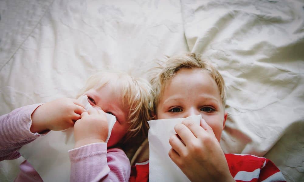 Wie frühere Erkältungen die Immunreaktion gegen Sars-CoV-2 verbessern