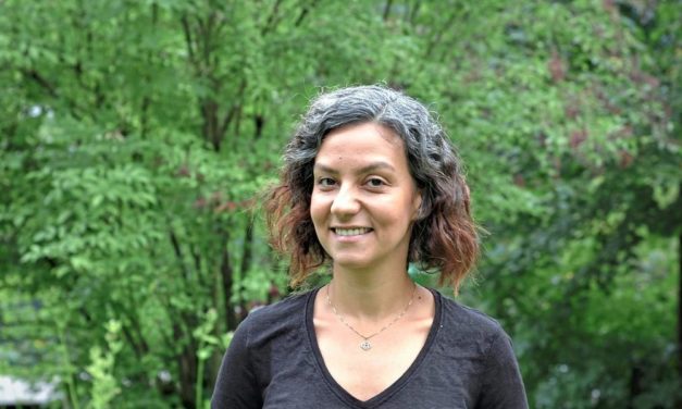 Wie Bäume am Flussrand Gewässer sauber halten