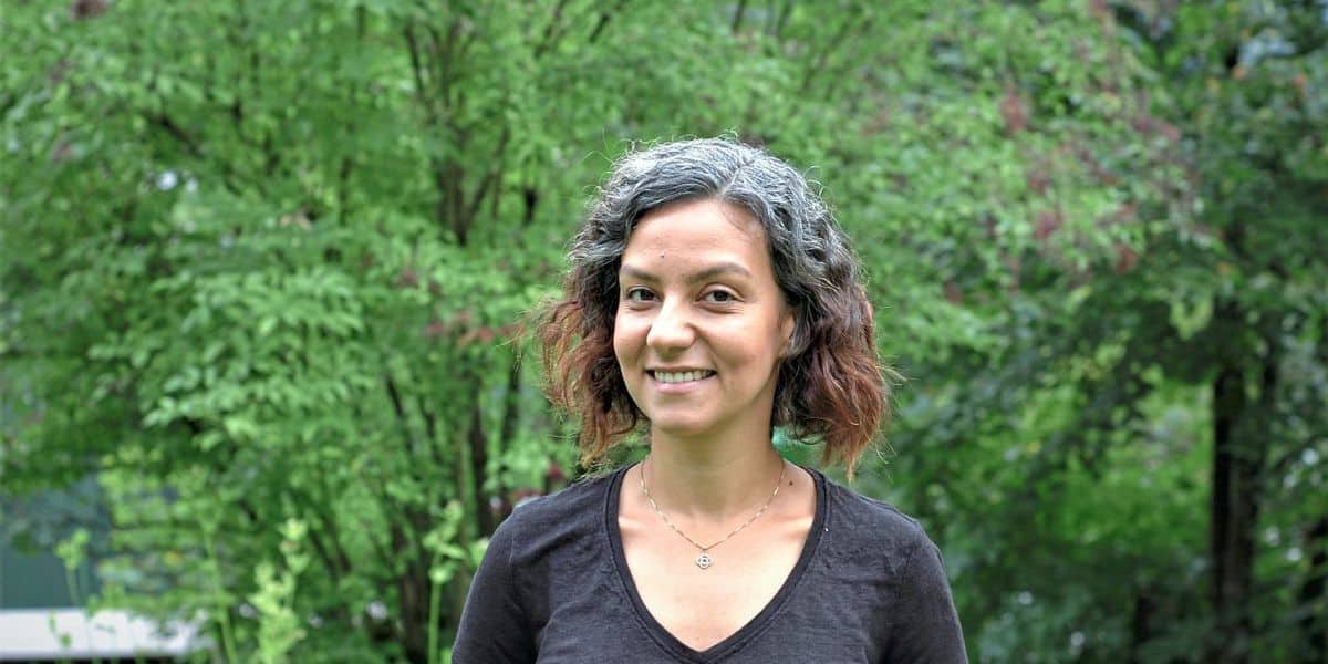 Wie Bäume am Flussrand Gewässer sauber halten