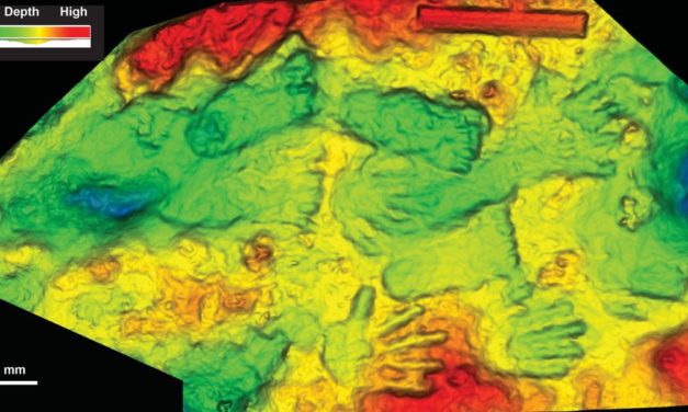 Abdrücke tibetischer Kinder könnten älteste Kunst der Welt sein
