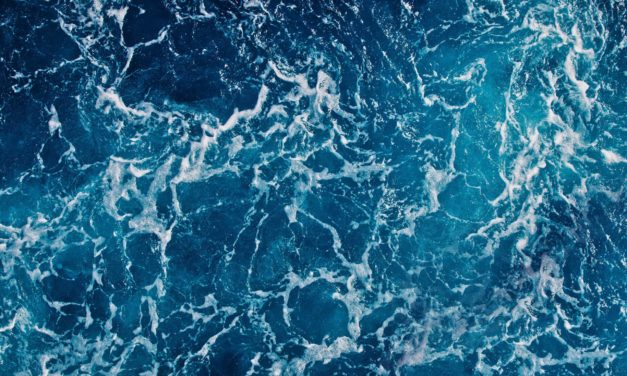 WebFree: Wie eine Community das Internet dezentralisieren will