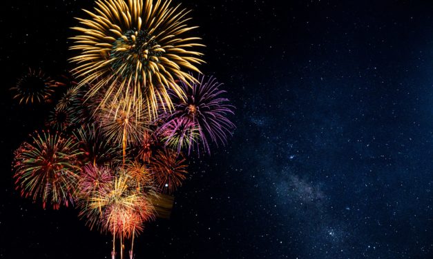 Das waren die Top Performer der letzten 30 Tage | BTC-ECHO