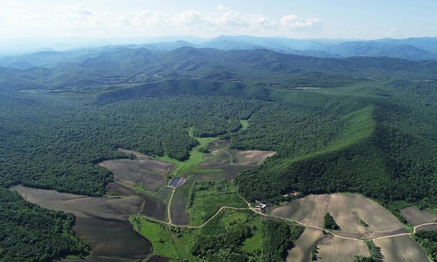 Größter Meteoriteneinschlag der letzten 100.000 Jahre identifiziert