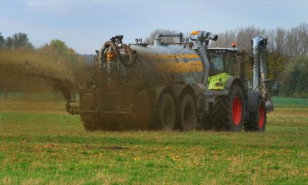 Stickstoffdünger einsparen würde Ernährungssicherheit nicht gefährden