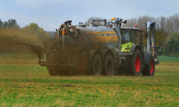 Stickstoffdünger einsparen würde Ernährungssicherheit nicht gefährden
