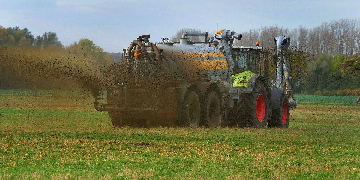 Stickstoffdünger einsparen würde Ernährungssicherheit nicht gefährden