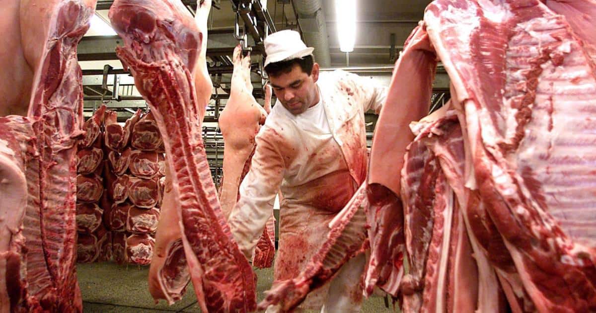 Britische Fleischindustrie: Mangel an CO2 gefährdet Produktion