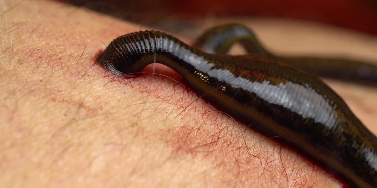 Bitcoin-Kurs: Blutiger Wochenstart zieht auch die Altcoin-Kurse gen Süden