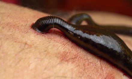 Bitcoin-Kurs: Blutiger Wochenstart zieht auch die Altcoin-Kurse gen Süden