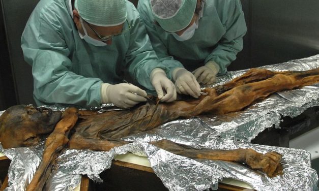 Die Zukunft der Eismannforschung