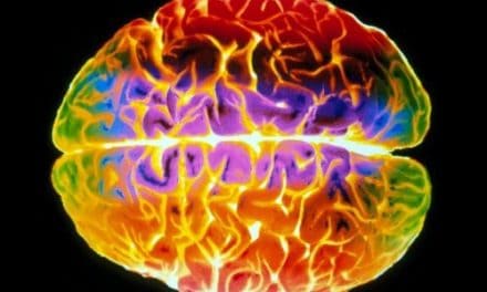 Wie wir echtes Leid von simuliertem Schmerz unterscheiden