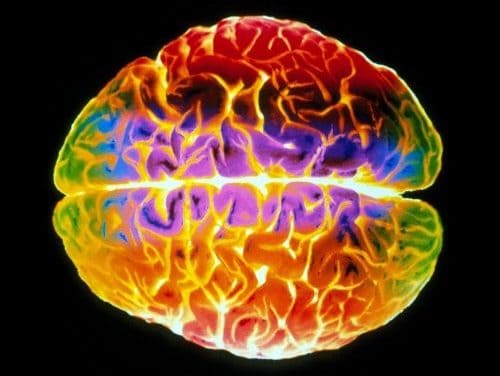 Wie wir echtes Leid von simuliertem Schmerz unterscheiden