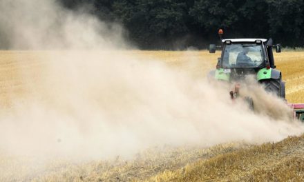 Wohnungen nahe Landwirtschaften oft mit Pestiziden belastet
