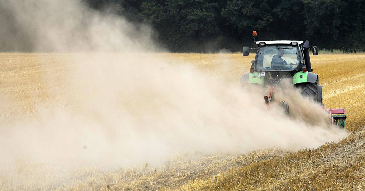 Wohnungen nahe Landwirtschaften oft mit Pestiziden belastet