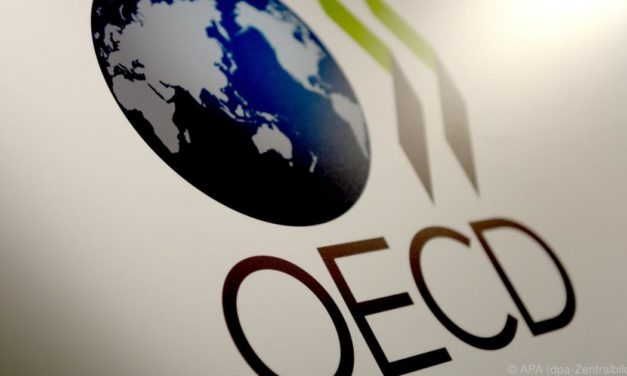 OECD sieht vier Schlüssel zu robusten Lieferketten