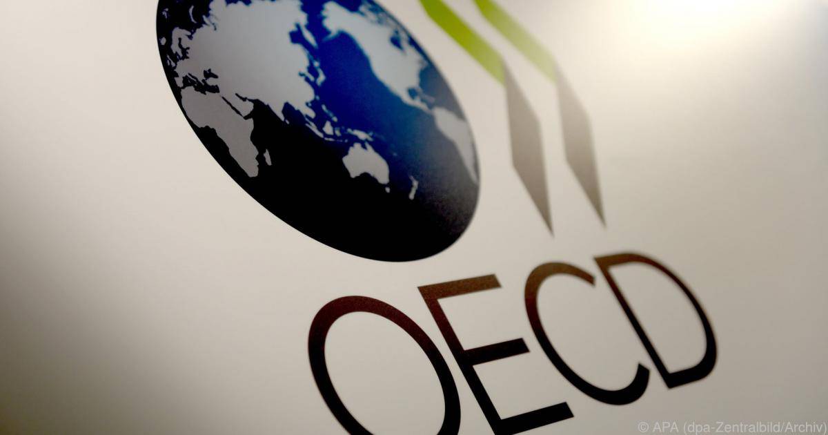 OECD sieht vier Schlüssel zu robusten Lieferketten