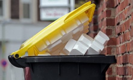 Wie Plastikmüll optimal sortiert werden kann