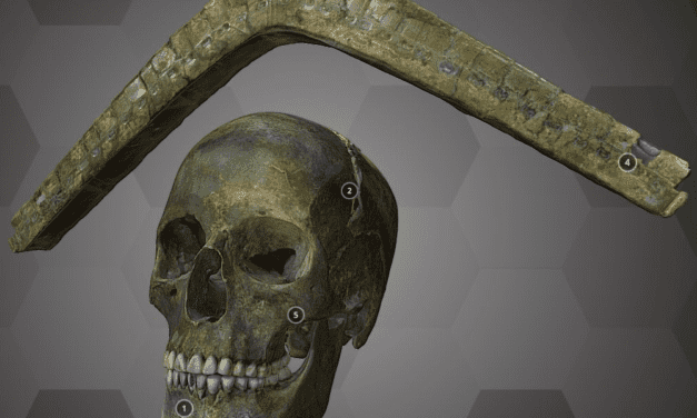 Wie ein bronzezeitlicher Schädel ins 3D-Museum kommt
