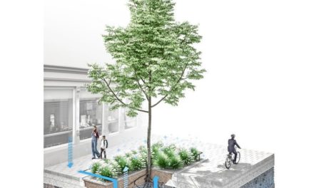 Die Wiener Seestadt wird zur Schwammstadt