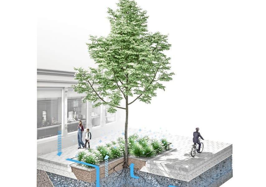 Die Wiener Seestadt wird zur Schwammstadt