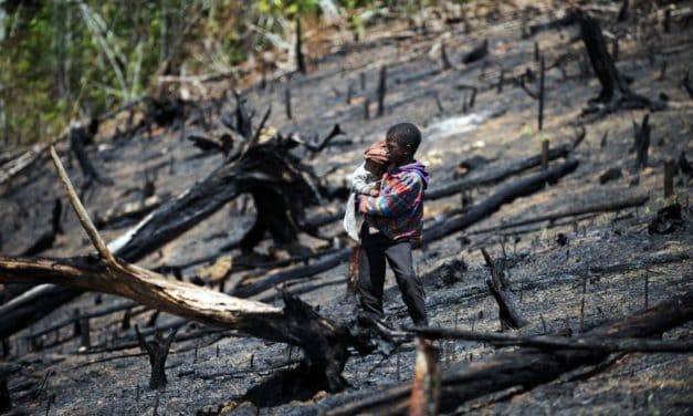 Junge Menschen werden siebenmal häufiger Hitzewellen erleben