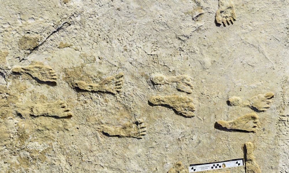 Fußspuren könnten bisher ältester Beweis für Menschen in Amerika sein