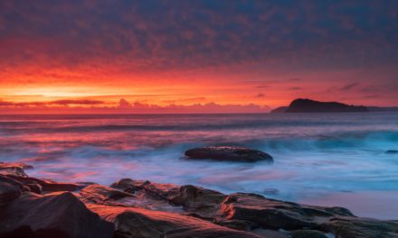 Bitcoin-Kurs: Morgenröte in Krypto-Land