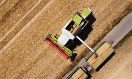 Neues Gesetz soll Bauern vor Marktmacht des Handels schützen